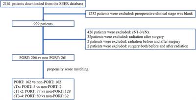 Effect of preoperative radiotherapy on the prognosis of patients with stage cTxN0M0 esophageal squamous cell carcinoma: propensity score matching analysis based on SEER database